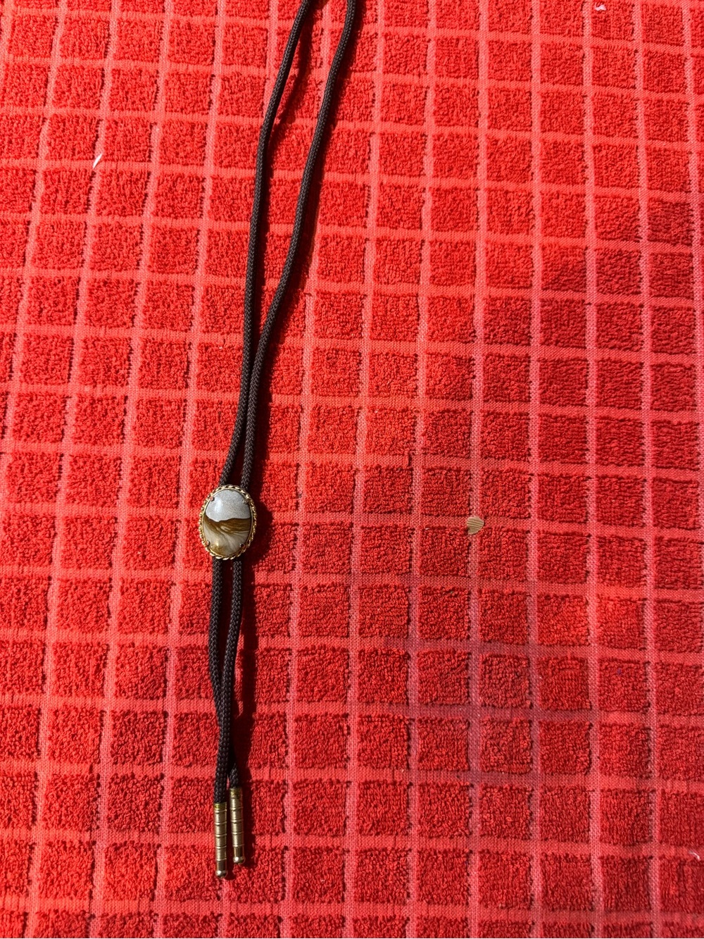 Western Bolo Tie with Gold-Tone Slide and Black Cord